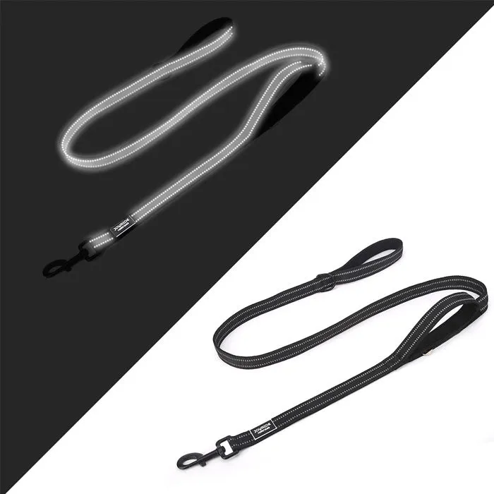 2 in 1: Dog Leash/Seatbelt Combo | 15% Off