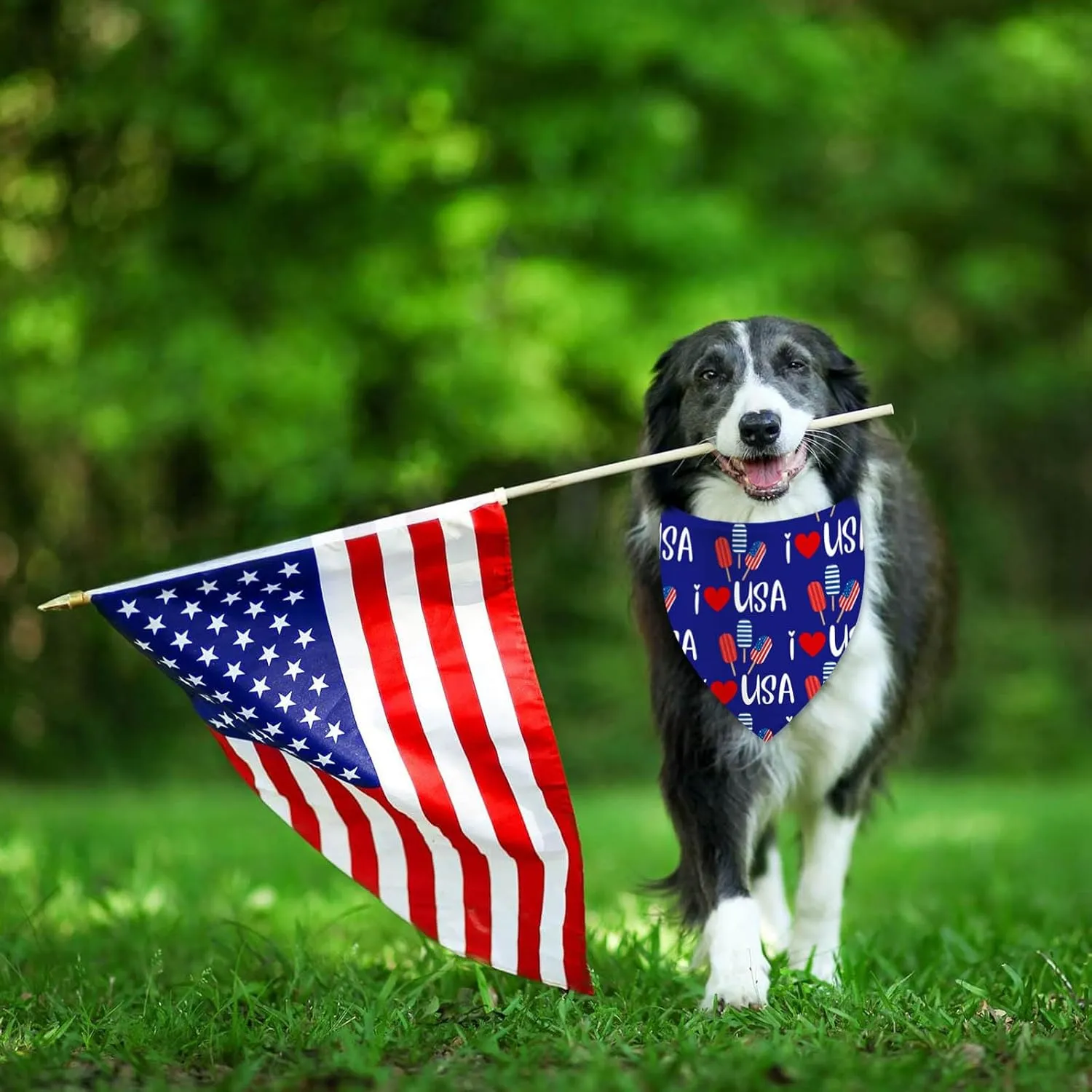 4th of July Dog Bandanas, Patriotic Holiday Party Pet Decorations 2 Pack, Adjustable Independence Day Bandana American Flag Triangle Bibs Cat Scarf Set