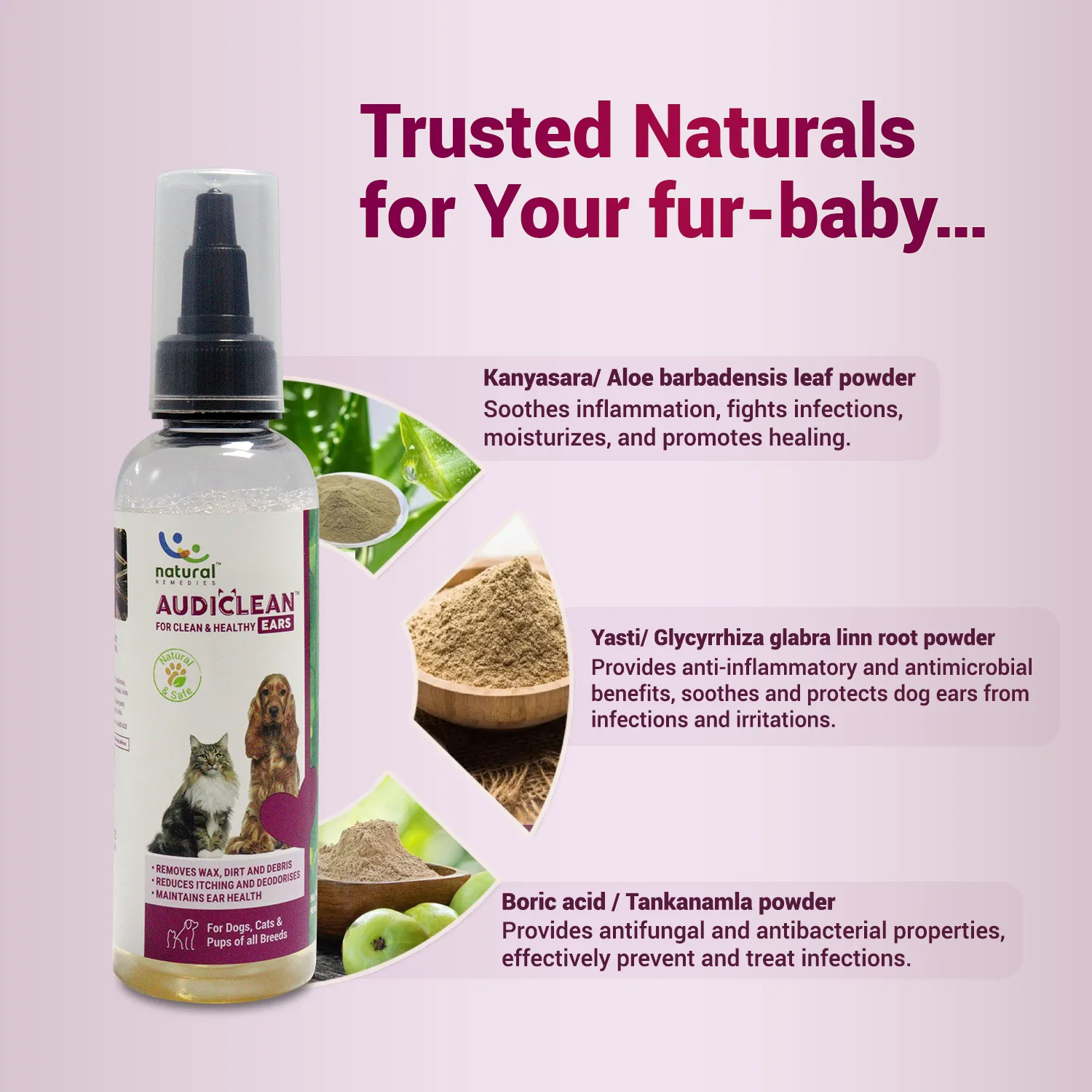 AUDICLEAN - For clean and healthy ears