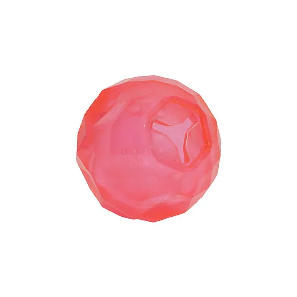 BioSafe Germ Smart Puppy Treat Ball Toy