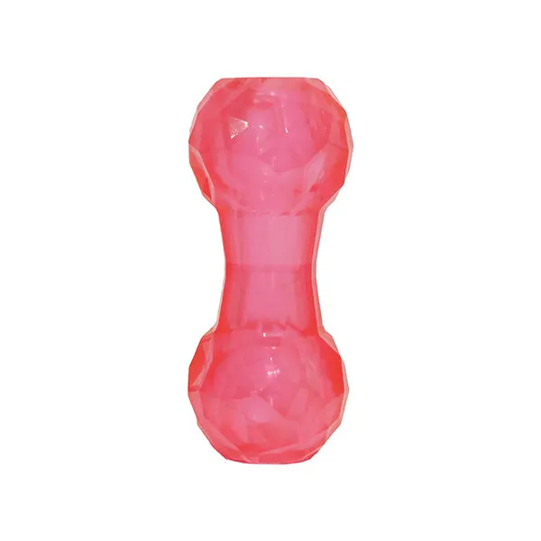 BioSafe Germ Smart Puppy Treat Dumbbell Toy