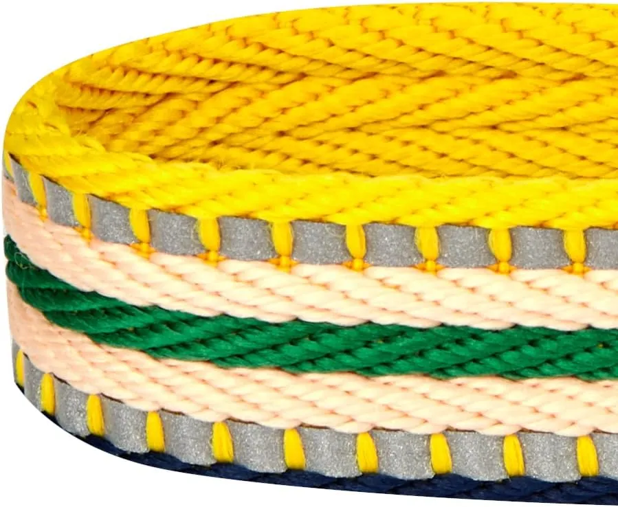 Blueberry Pet 6 Colors 3M Reflective Multi-Colored Stripe Adjustable Dog Seat Belt Tether for Dogs Cats, Yellow and Green, Durable Safety Car Vehicle Seatbelts Leads Use with Harness