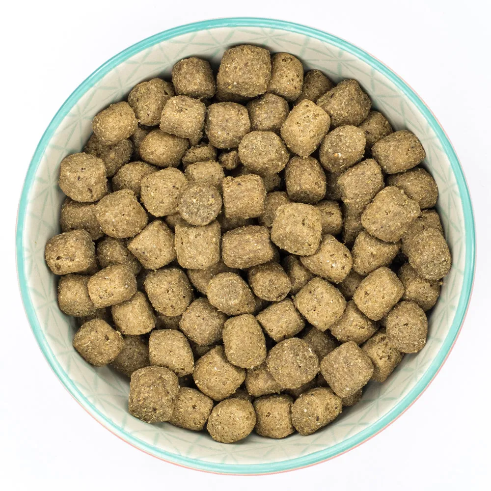 Burns Puppy Grain Free with Duck & Potato