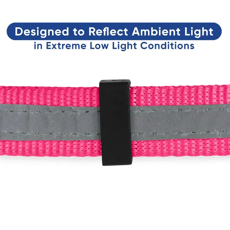 Chain Martingale Reflective Dog Collar