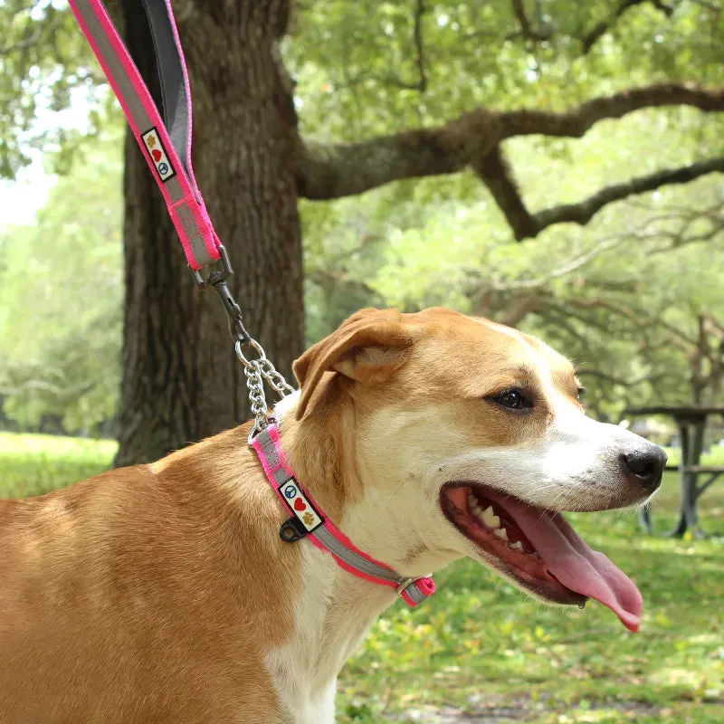 Chain Martingale Reflective Dog Collar