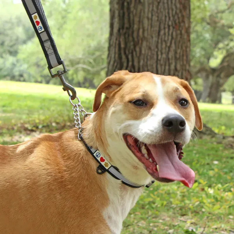 Chain Martingale Reflective Dog Collar