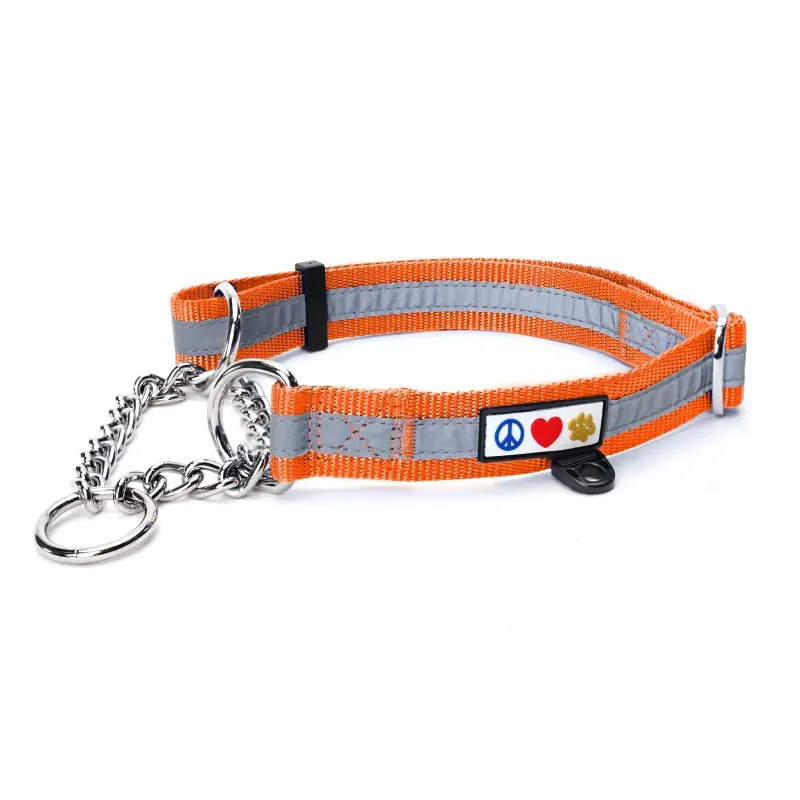 Chain Martingale Reflective Dog Collar