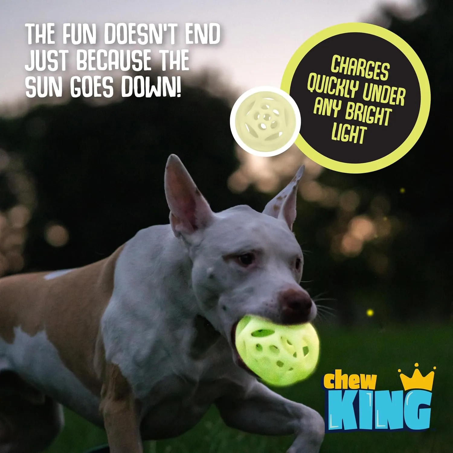 Chew King Glowing Fetch Ball, Dog Ball Toys, Large 2-Pack Lattice