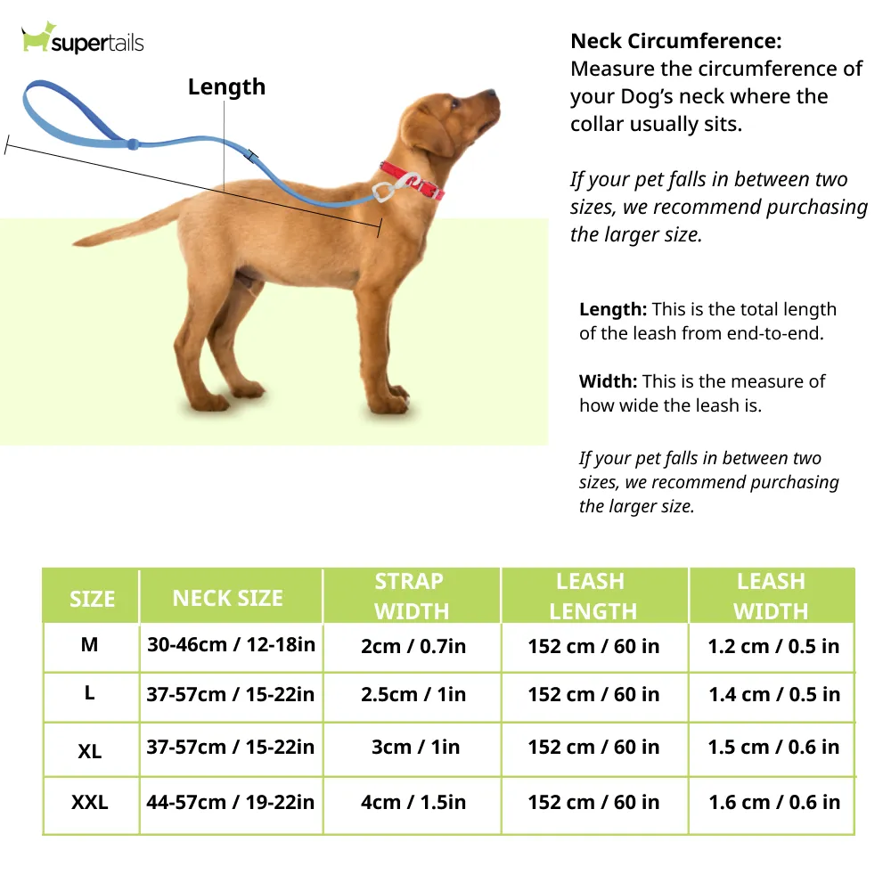 Chullbull Nylon Collar and Heavy Chain Leash for Dogs (Black)
