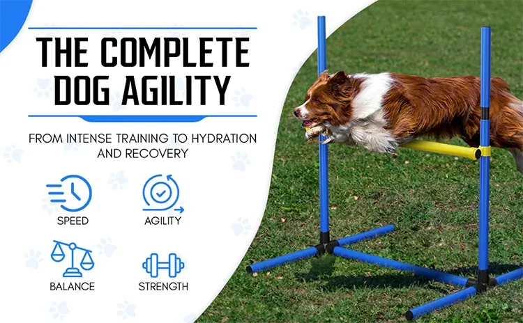 Custom Hot-selling Dog Agility Training Equipment Tunnel Poles Hurdles Exercise Pet Obstacle Course Agility Pet Training Set