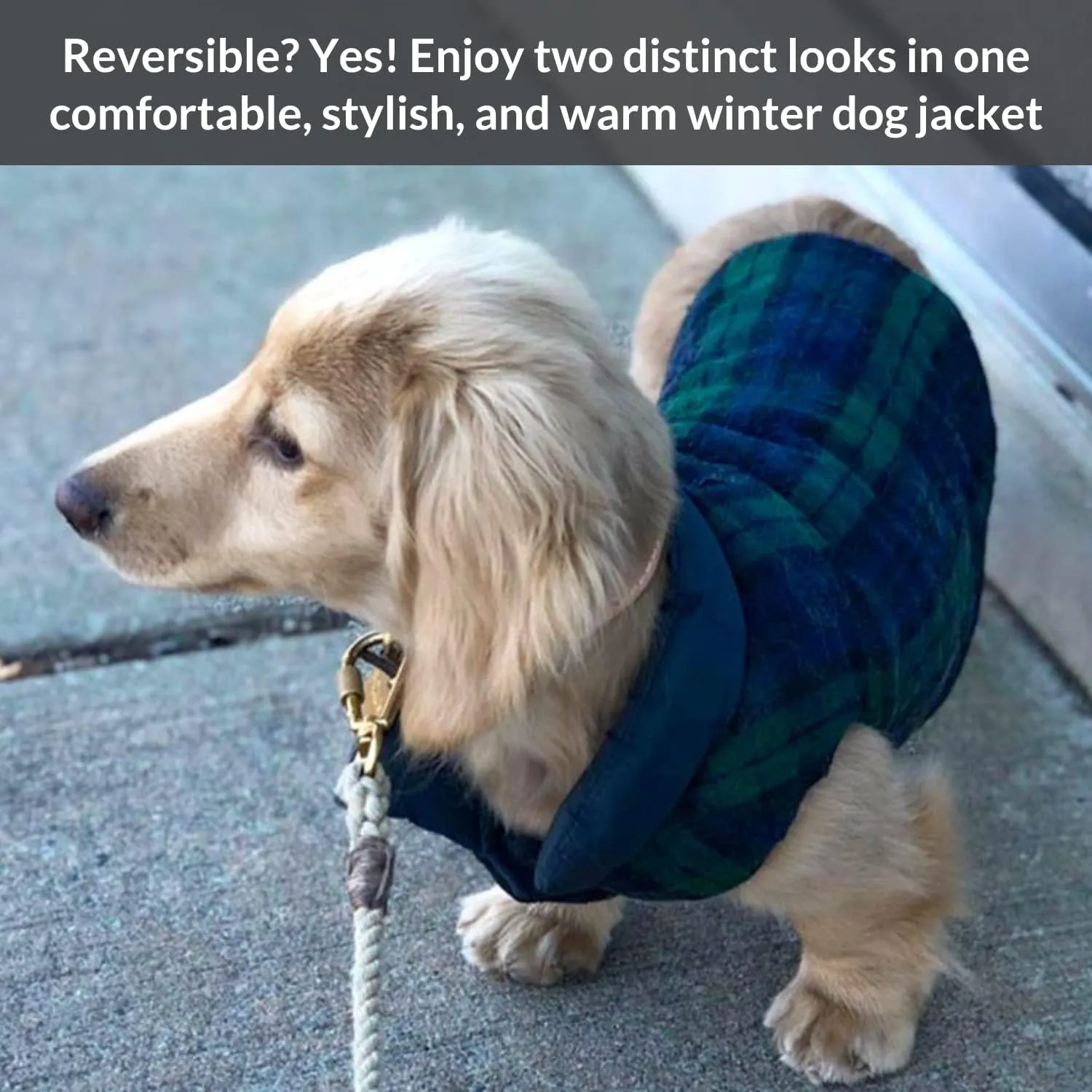 DJANGO Puffer Dog Jacket and Reversible Winter Dog CoatWater-Repellent and Adjustable Dog Jacket with Windproof Protection and Easy-Access Harness-Leash Portal (Medium, Twilight Blue)