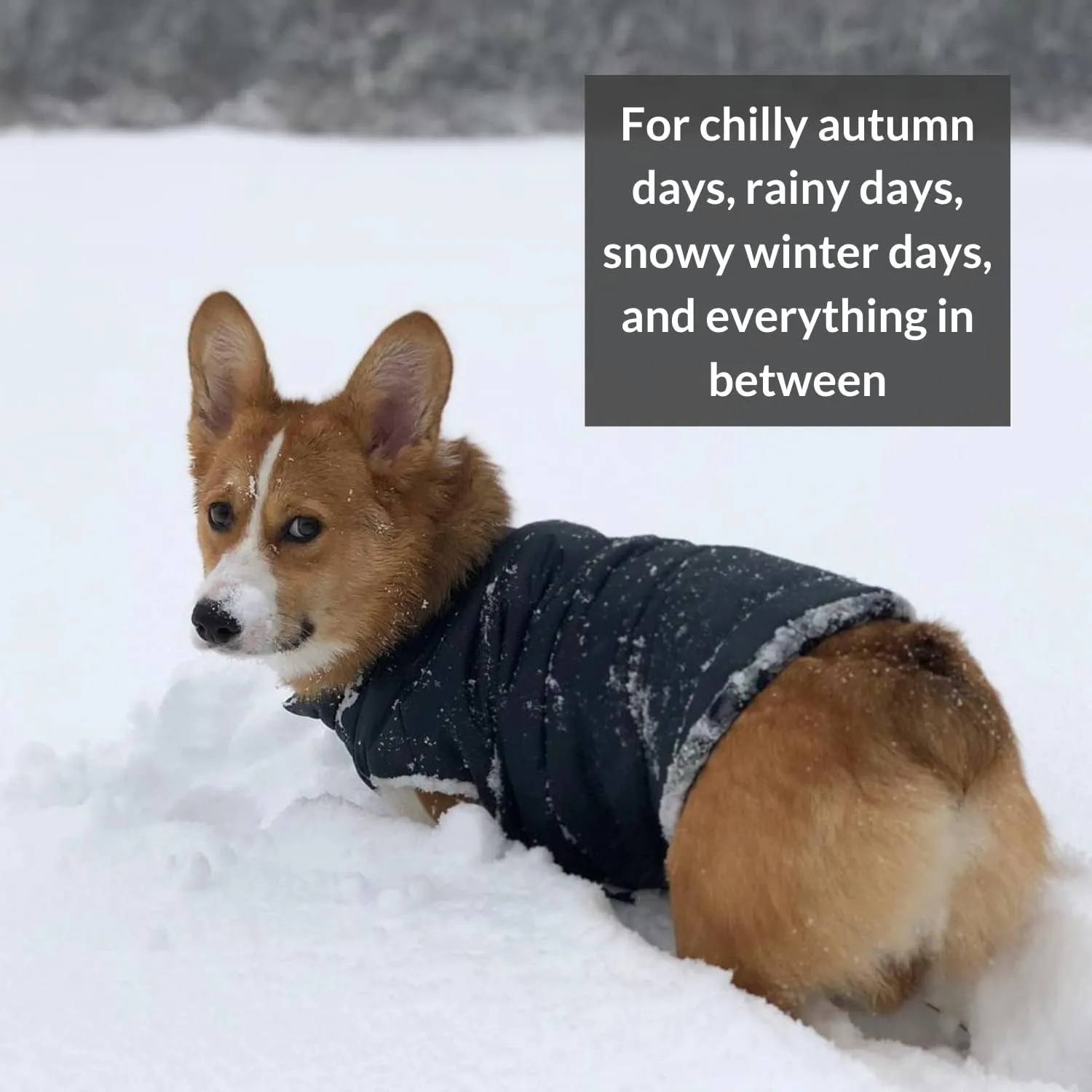 DJANGO Puffer Dog Jacket and Reversible Winter Dog CoatWater-Repellent and Adjustable Dog Jacket with Windproof Protection and Easy-Access Harness-Leash Portal (Medium, Twilight Blue)