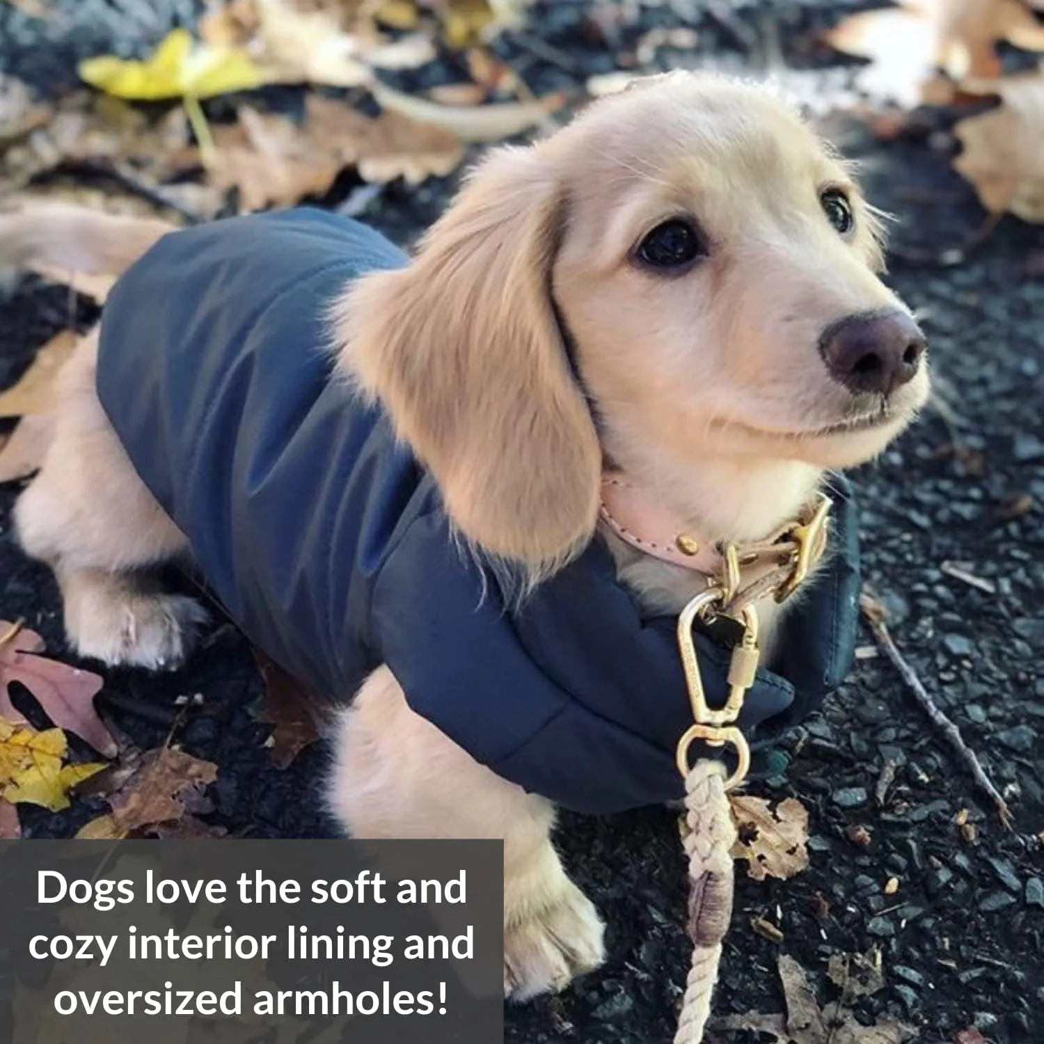 DJANGO Puffer Dog Jacket and Reversible Winter Dog CoatWater-Repellent and Adjustable Dog Jacket with Windproof Protection and Easy-Access Harness-Leash Portal (Medium, Twilight Blue)