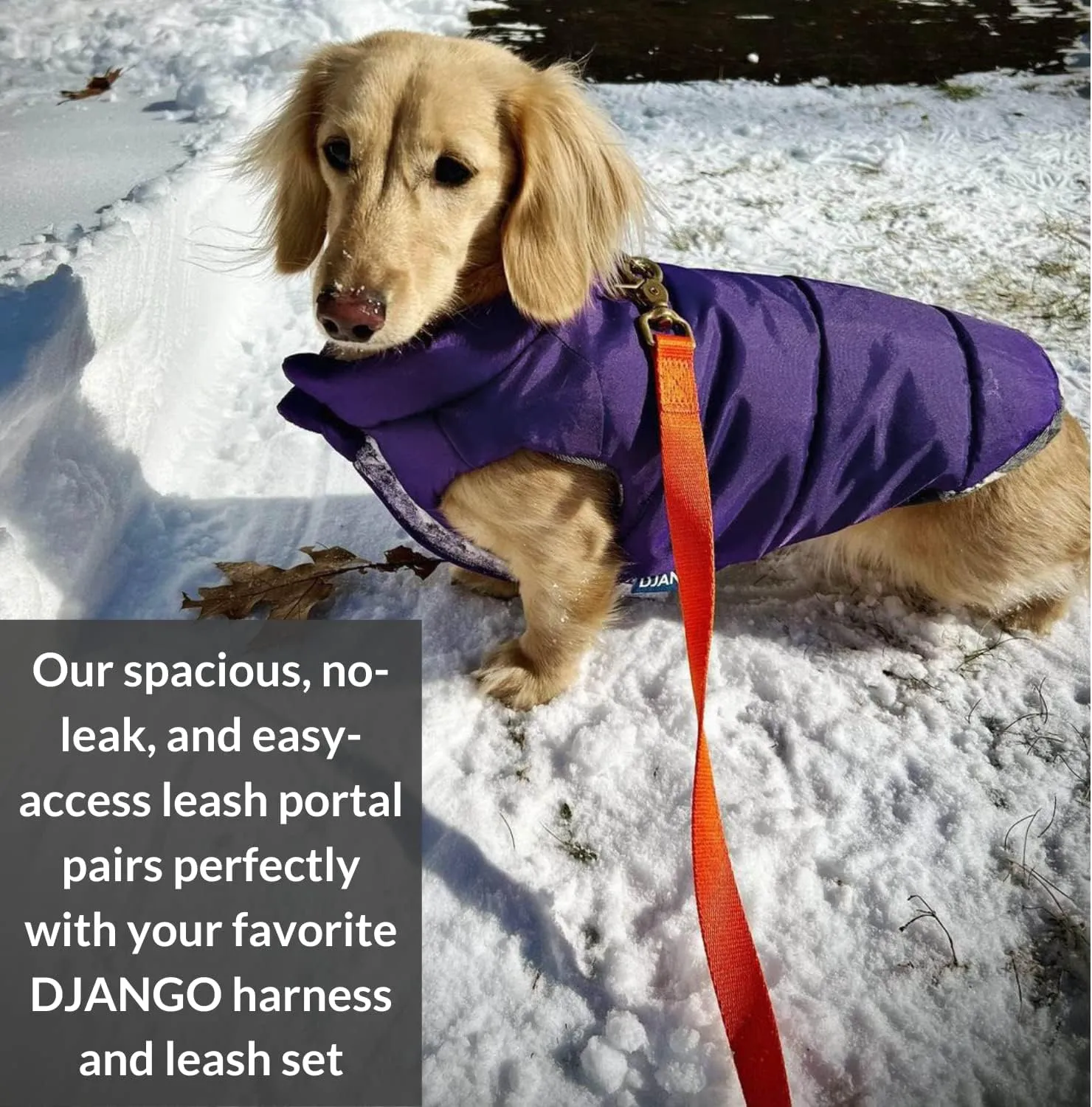 DJANGO Puffer Dog Jacket and Reversible Winter Dog CoatWater-Repellent and Adjustable Dog Jacket with Windproof Protection and Easy-Access Harness-Leash Portal (Medium, Violet Purple)