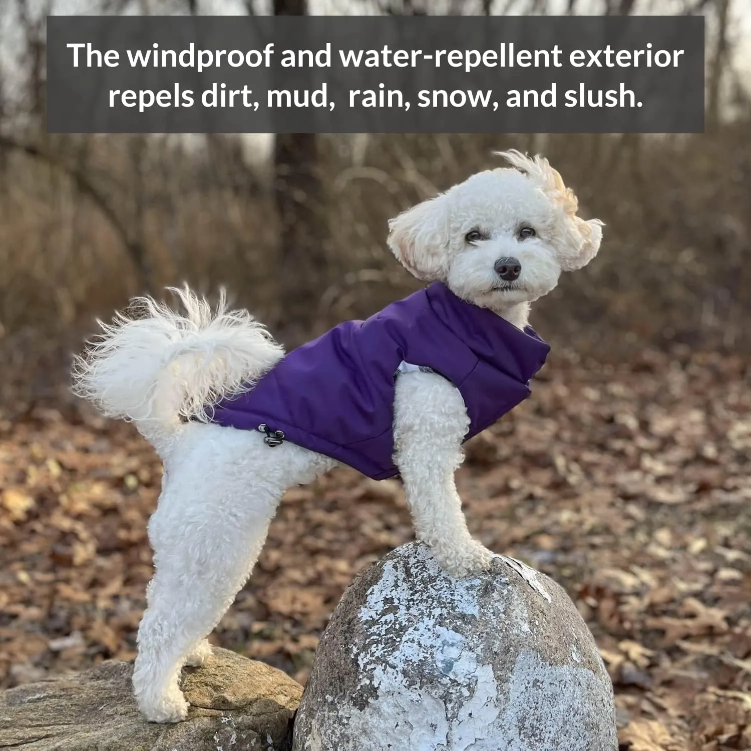 DJANGO Puffer Dog Jacket and Reversible Winter Dog CoatWater-Repellent and Adjustable Dog Jacket with Windproof Protection and Easy-Access Harness-Leash Portal (Medium, Violet Purple)