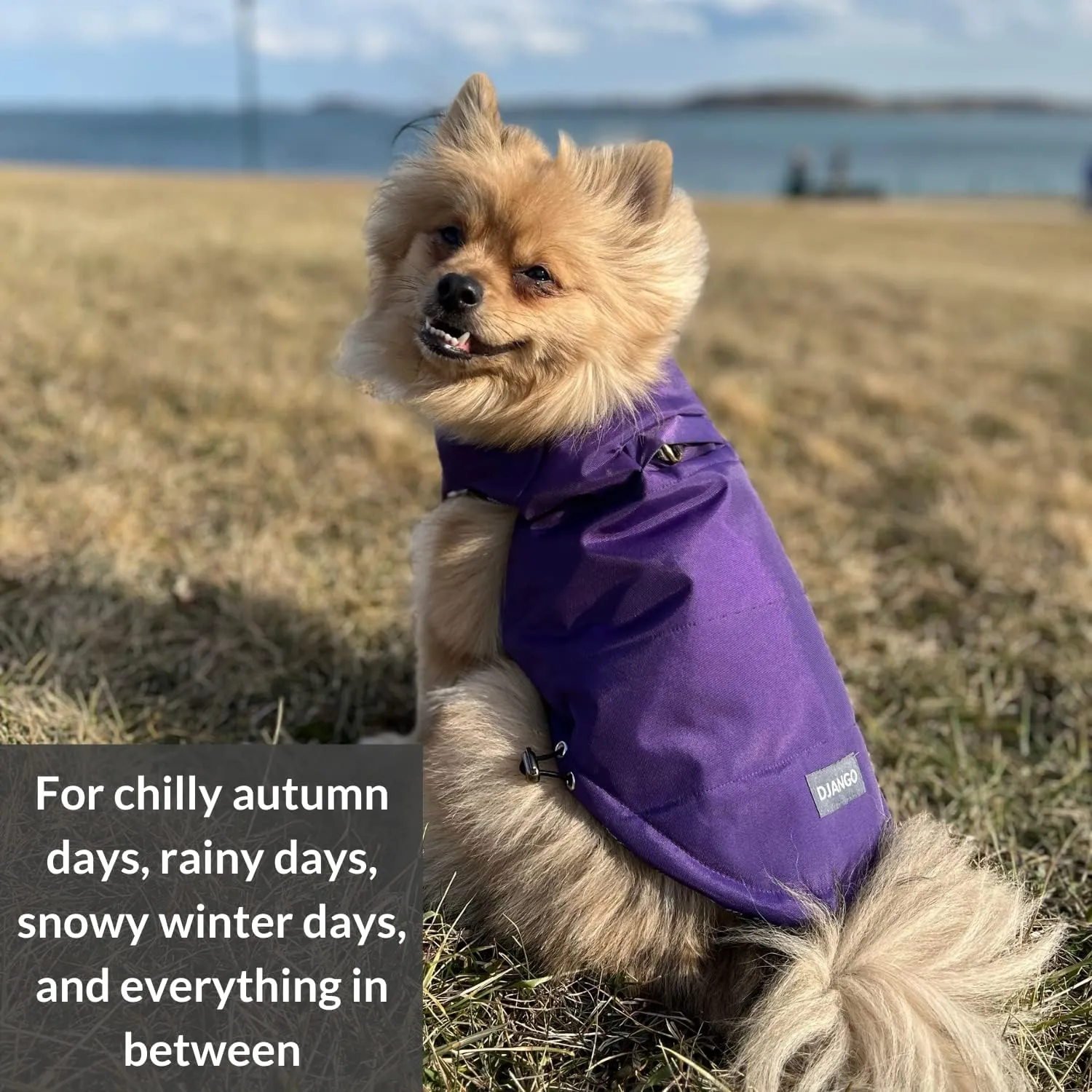 DJANGO Puffer Dog Jacket and Reversible Winter Dog CoatWater-Repellent and Adjustable Dog Jacket with Windproof Protection and Easy-Access Harness-Leash Portal (Medium, Violet Purple)
