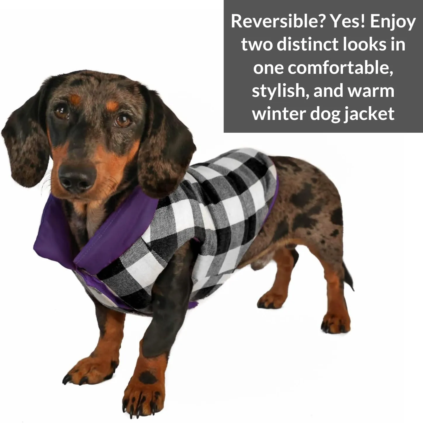 DJANGO Puffer Dog Jacket and Reversible Winter Dog CoatWater-Repellent and Adjustable Dog Jacket with Windproof Protection and Easy-Access Harness-Leash Portal (Medium, Violet Purple)