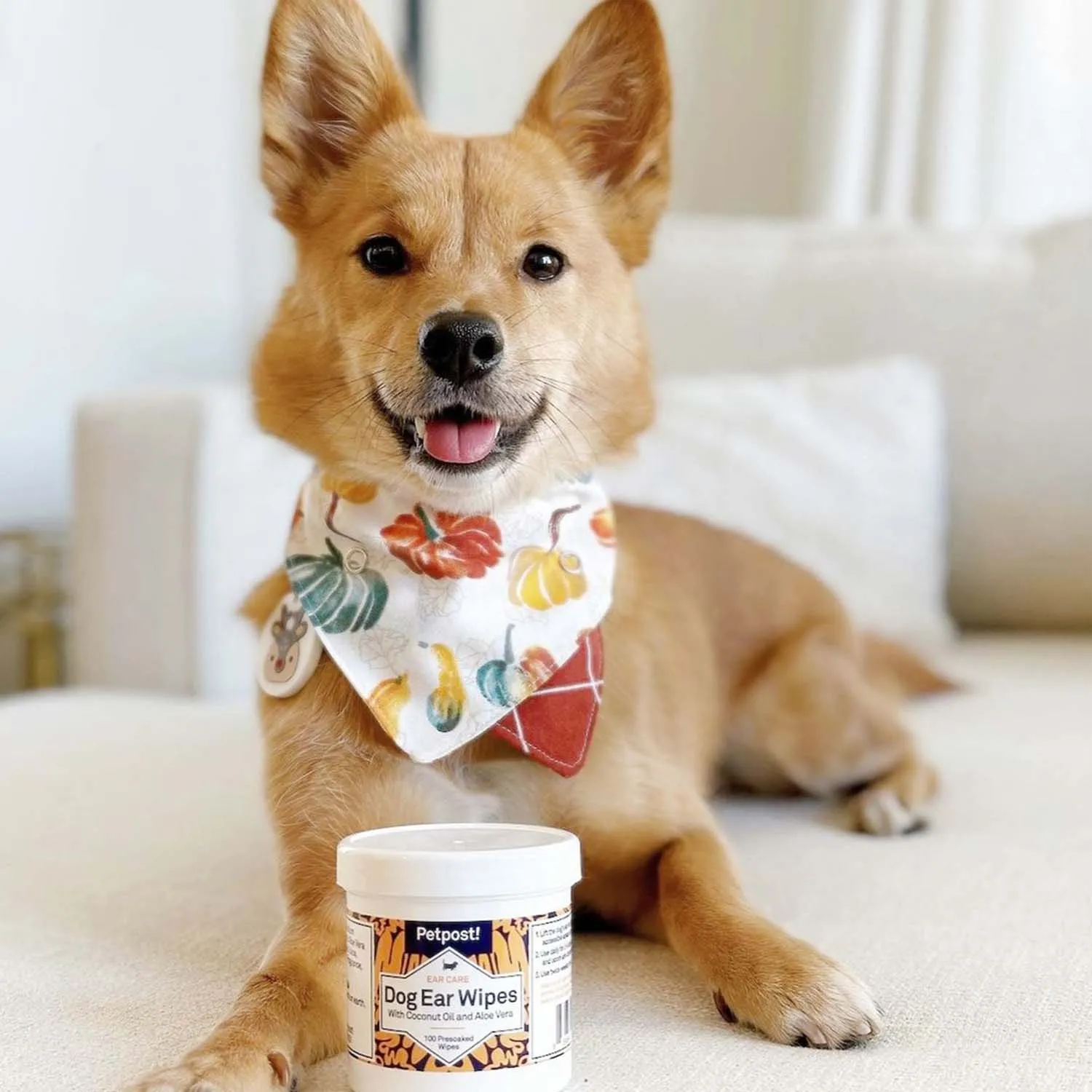 Dog Ear Wipes