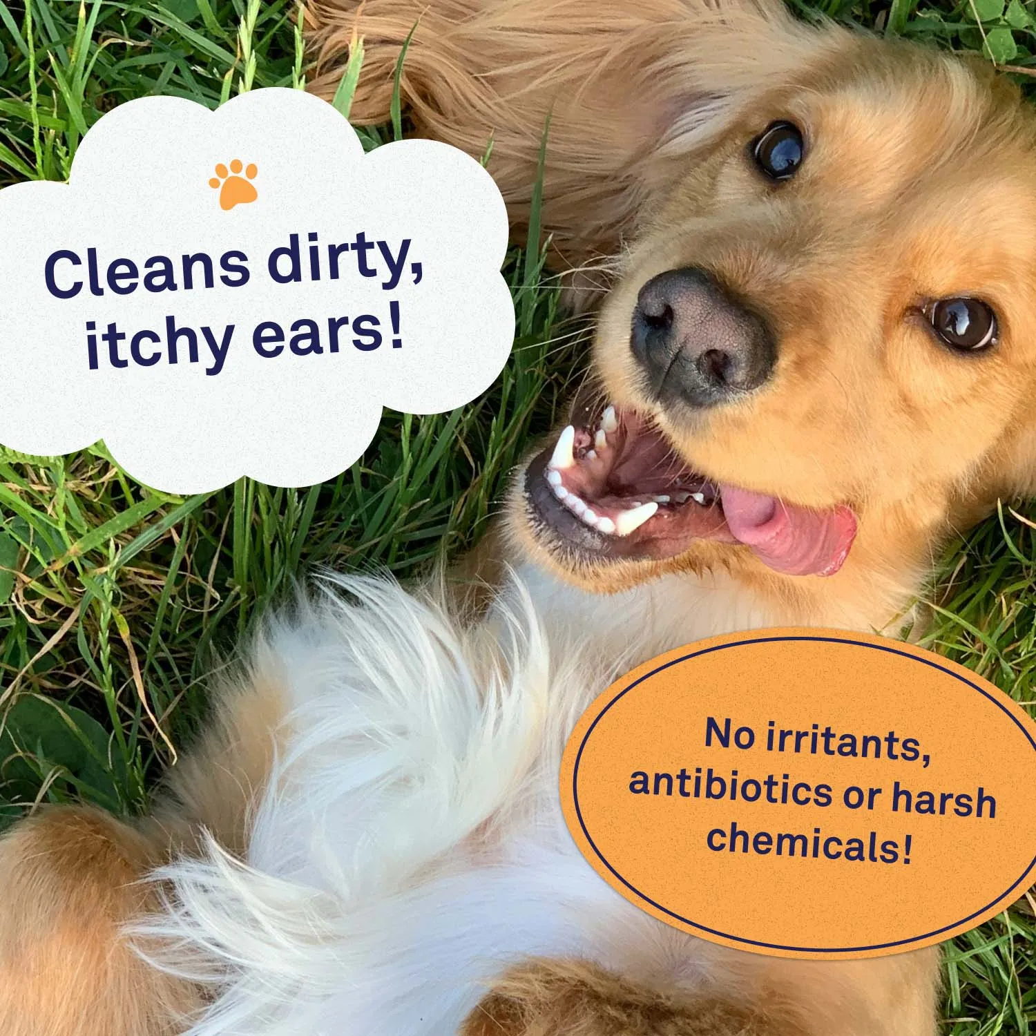 Dog Ear Wipes