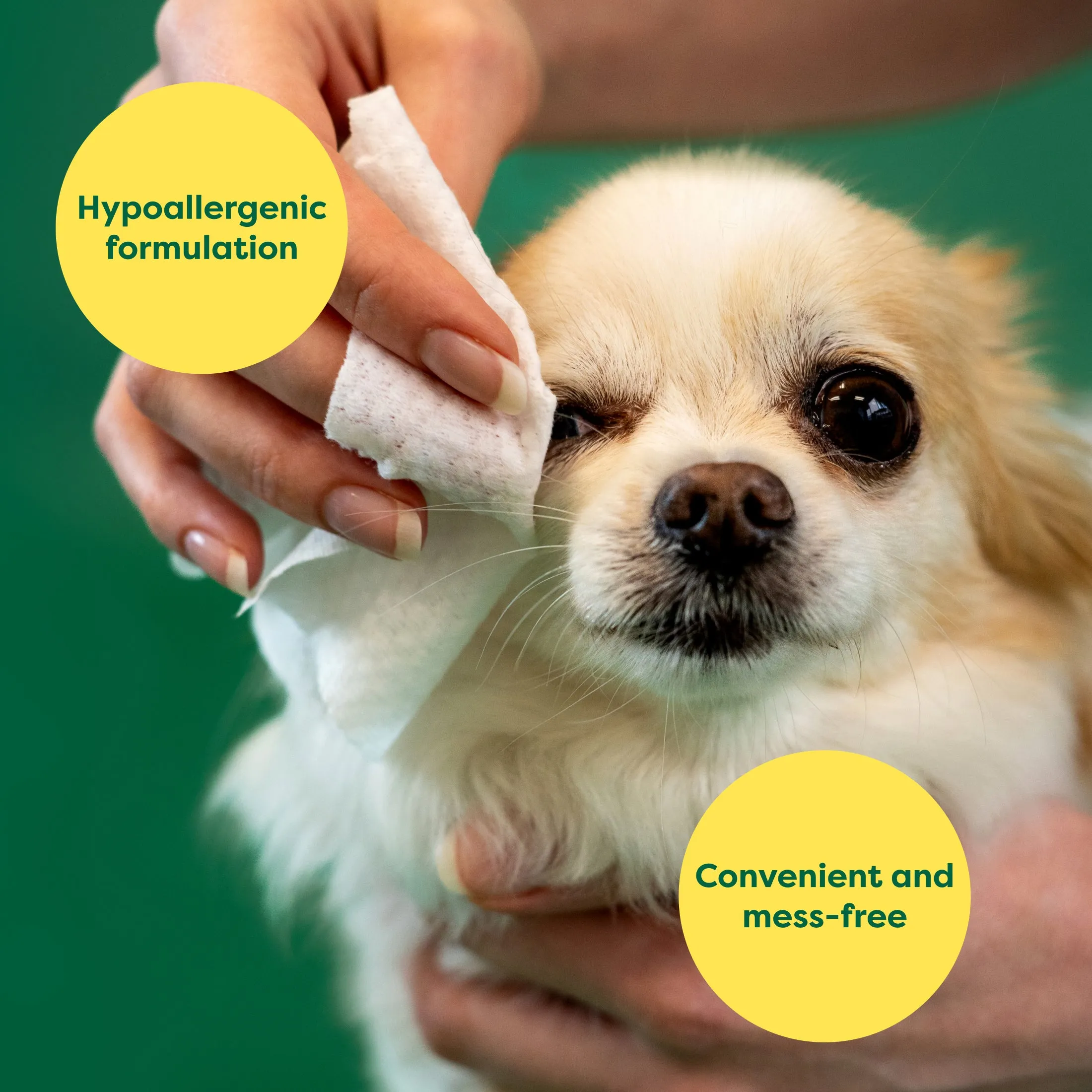 Dog Eye Wipes