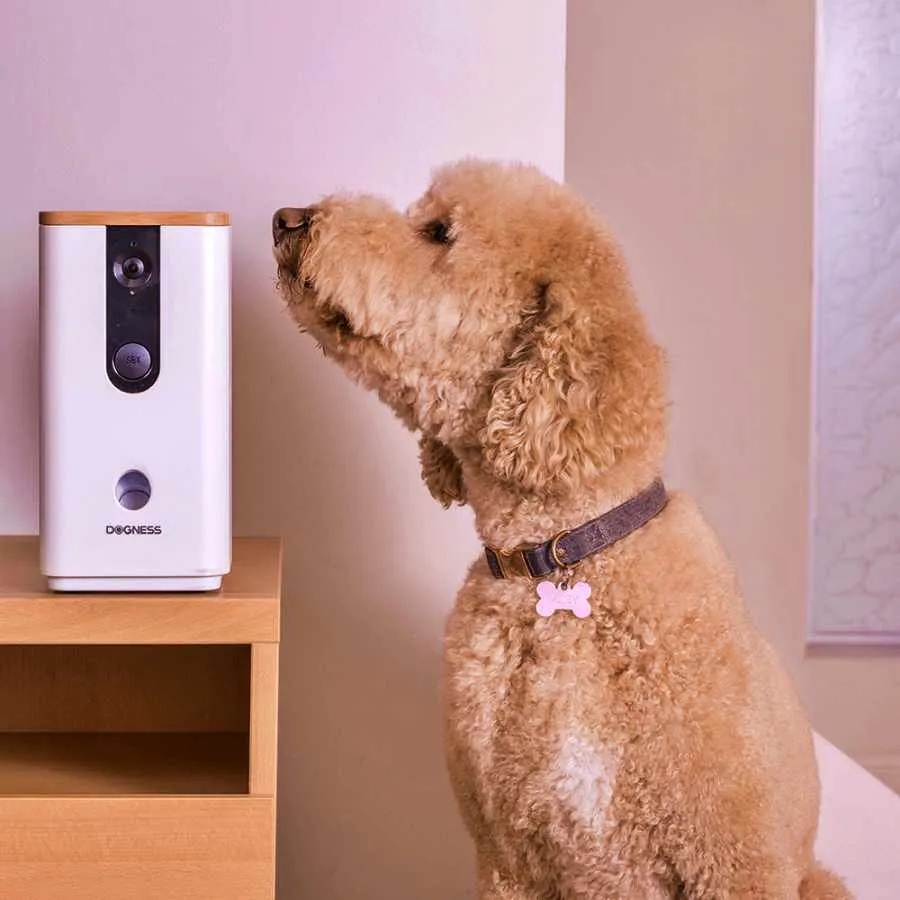 DOGNESS Pet Treat Dispenser with Camera via App