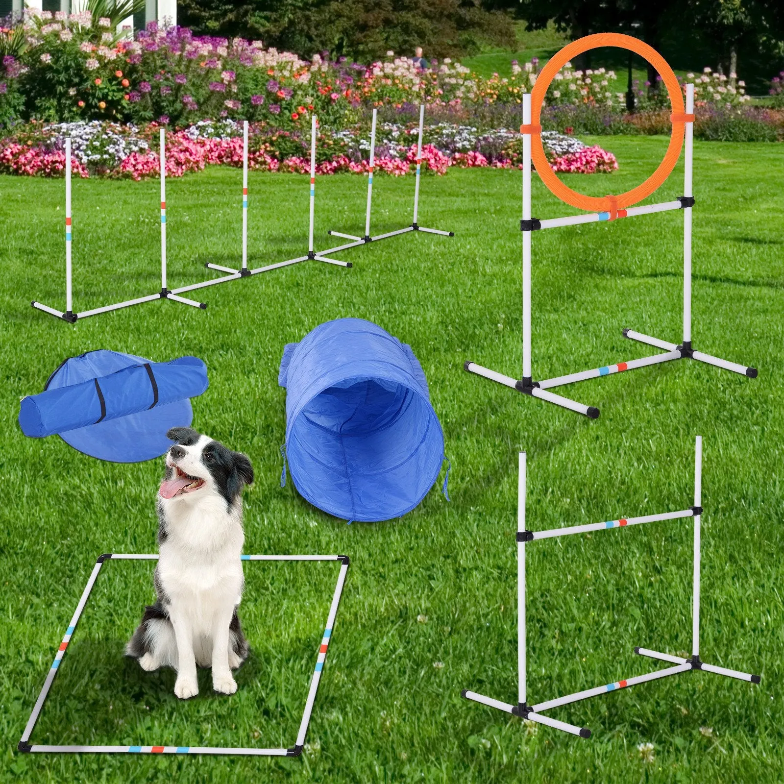 Dogs PE Set-of-5 Obstacle Agility Training Set White