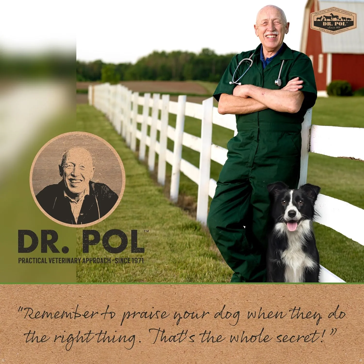 Dr. Pol Puppy Training Pads - X-Large Scented Pee Pads for Dogs with Ultra Absorbent Quick Dry Gel, 28 x 30, 50 Count