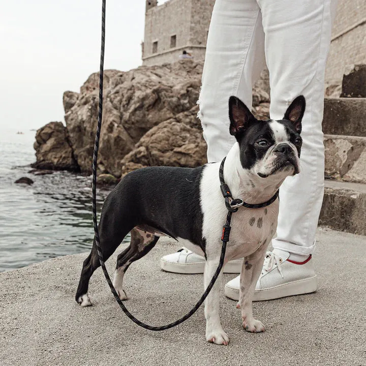EzyDog Luca Leash Collar Combo