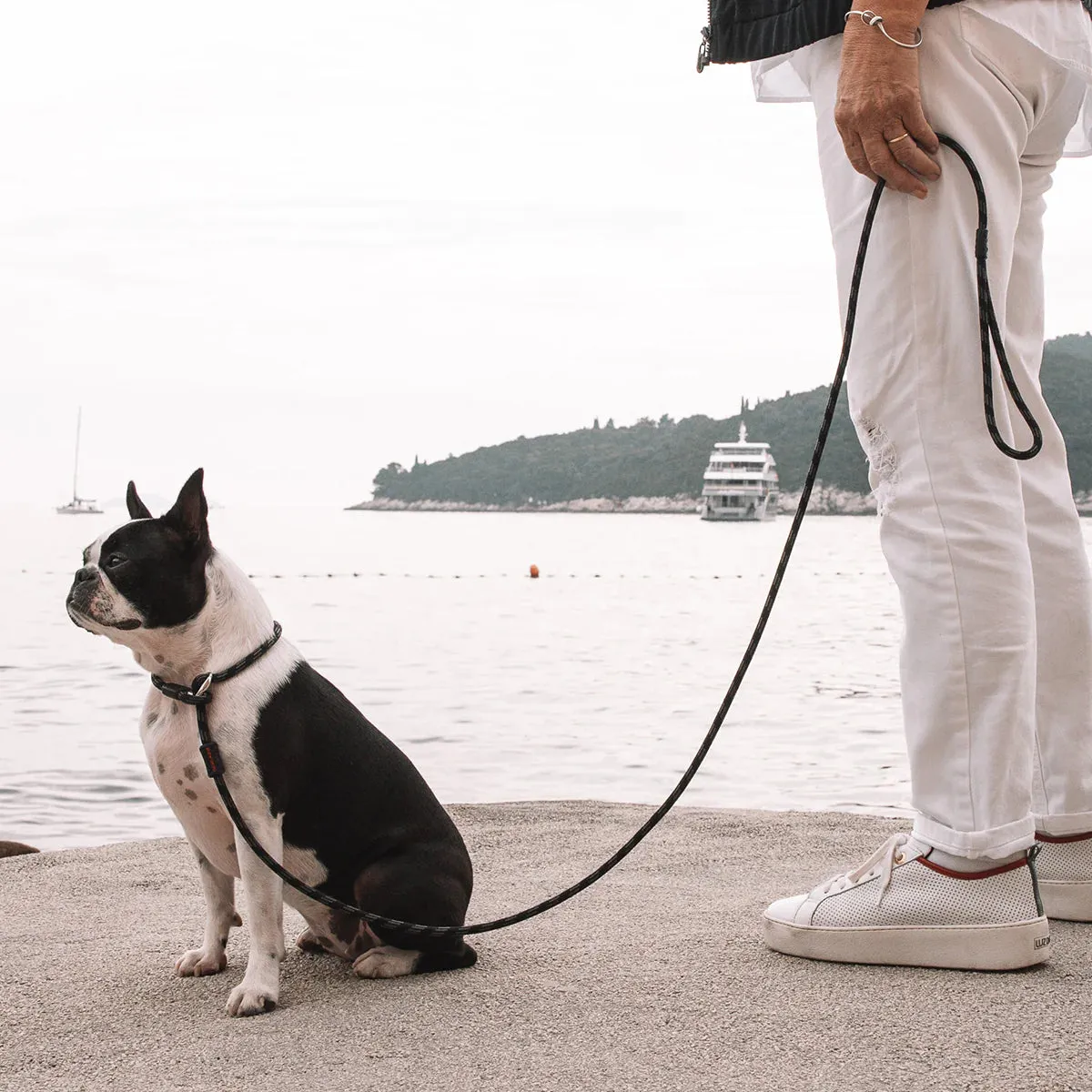 EzyDog Luca Leash Collar Combo