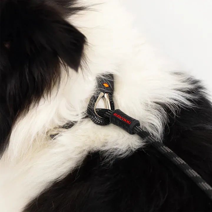 EzyDog Luca Leash Collar Combo