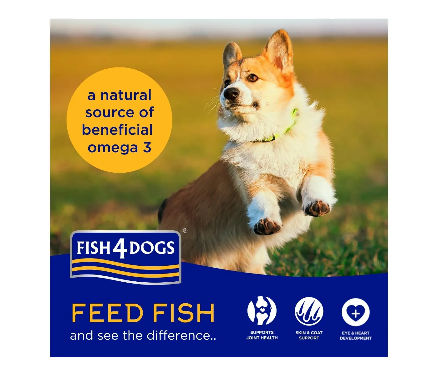 Fish4Dogs - Finest Adult Sardine and Sweet Potato (Large Kibble) - 1.5kg