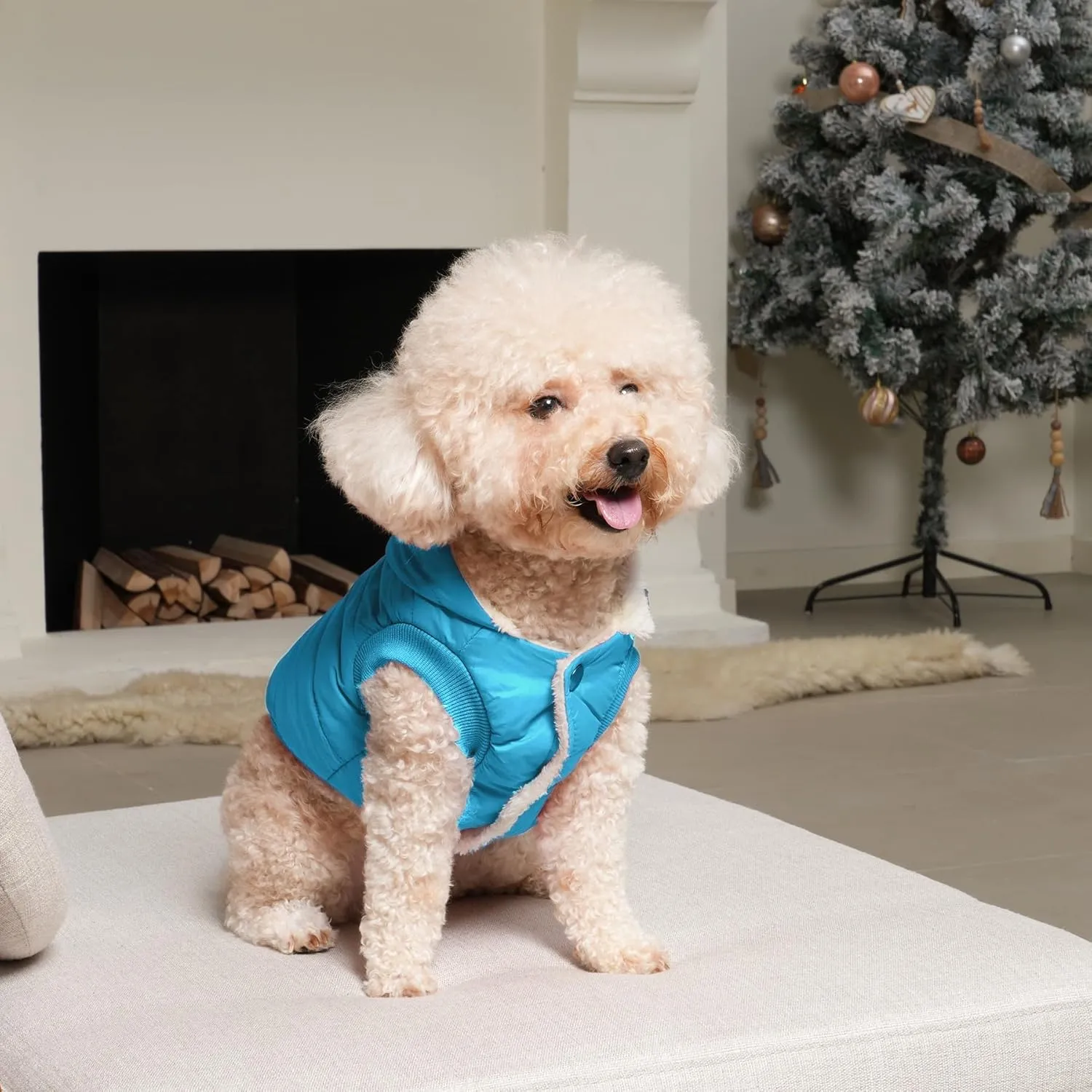 Fleece Lining Extra Warm Dog Hoodie in Winter for Medium Dogs Jacket Pet Coats with Hooded,Light Blue L
