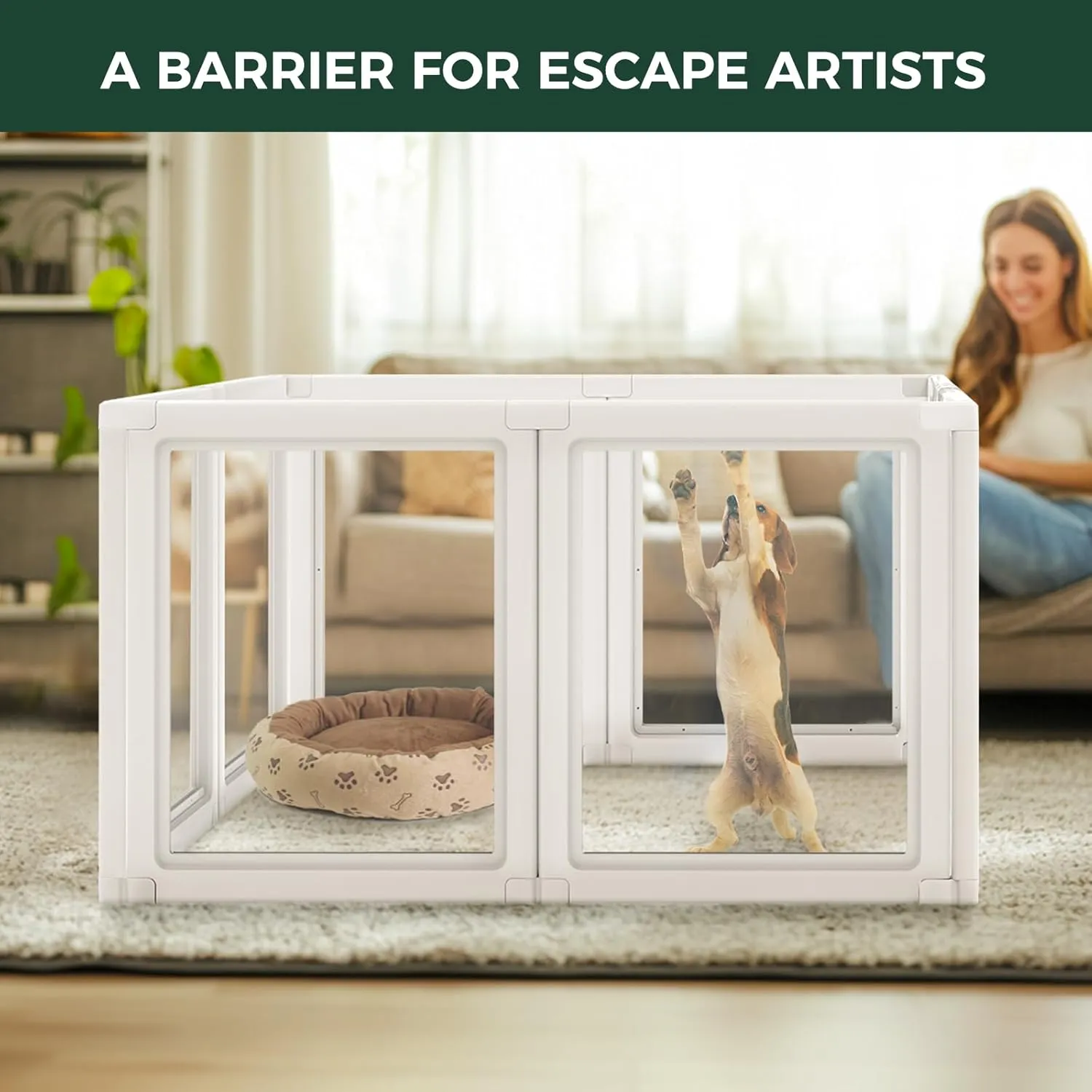 FXW AuraSpace Acrylic Indoor Dog Playpen for Small and Medium Dogs, 30 Inch, 8 Panels, White