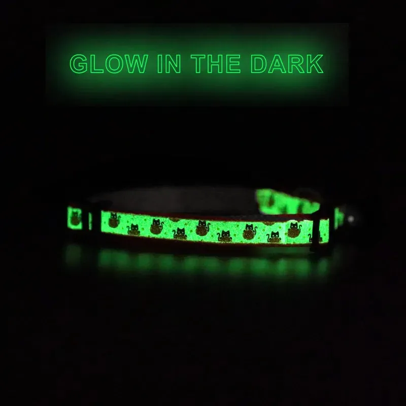 Halloween Glow In The Dark Cat Collar