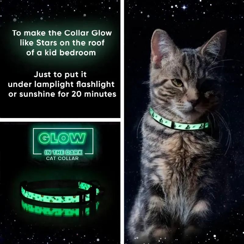 Halloween Glow In The Dark Cat Collar