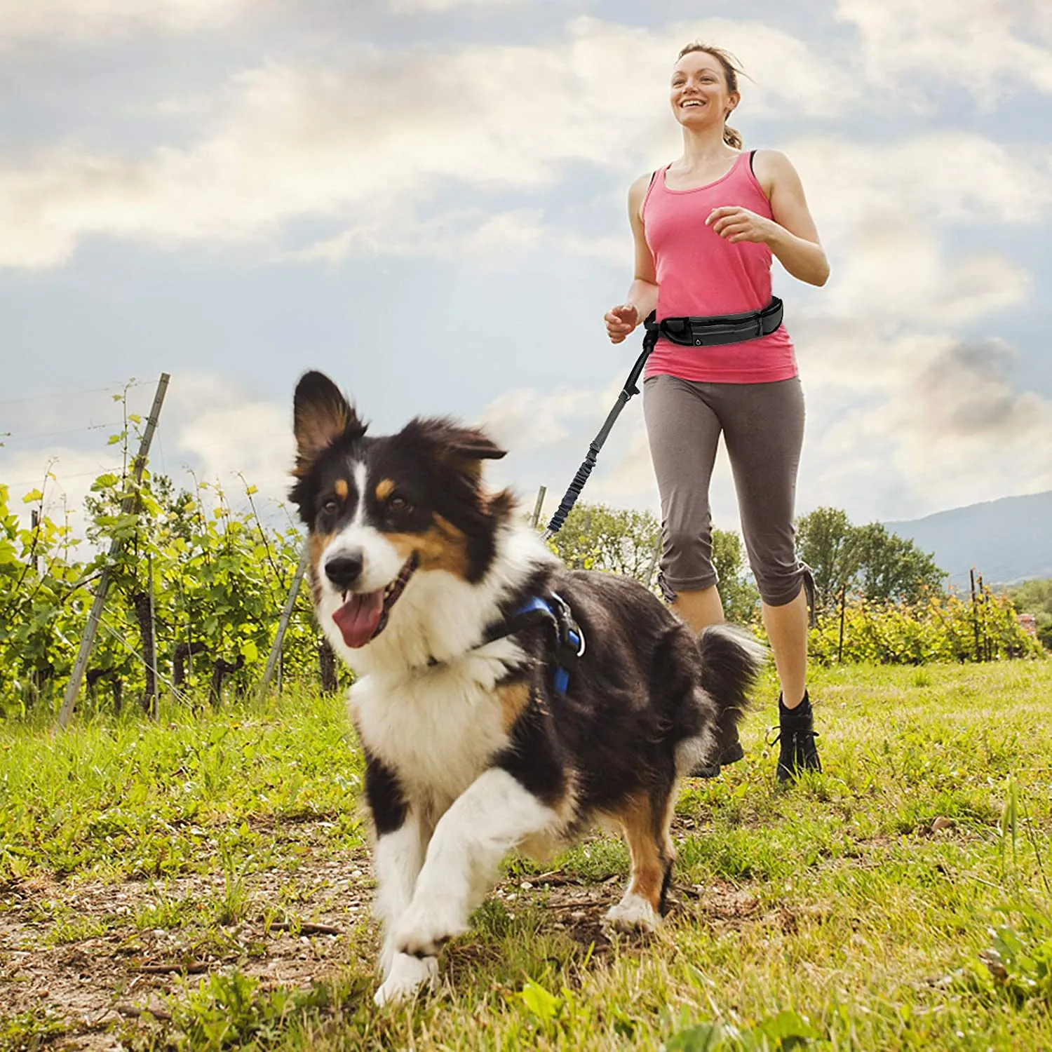 Hands Free Dog Lead Reflective Bungee Dog Lead For Running Dog Leash UK