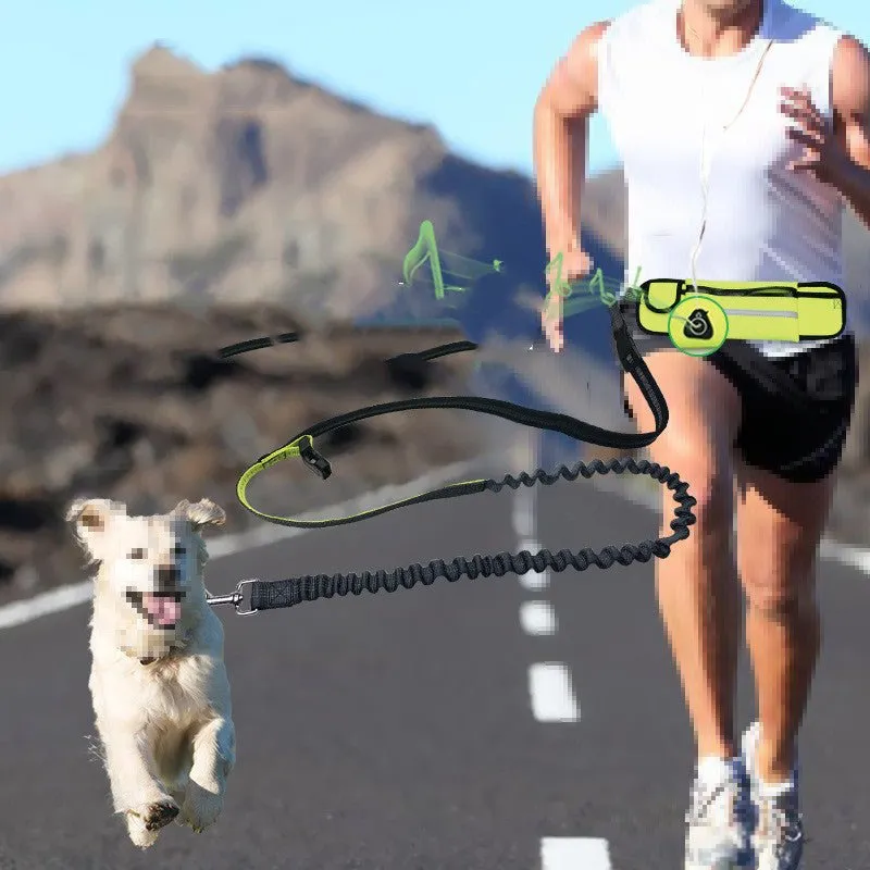 Hands Free Dog Lead Reflective Bungee Dog Lead For Running Dog Leash UK