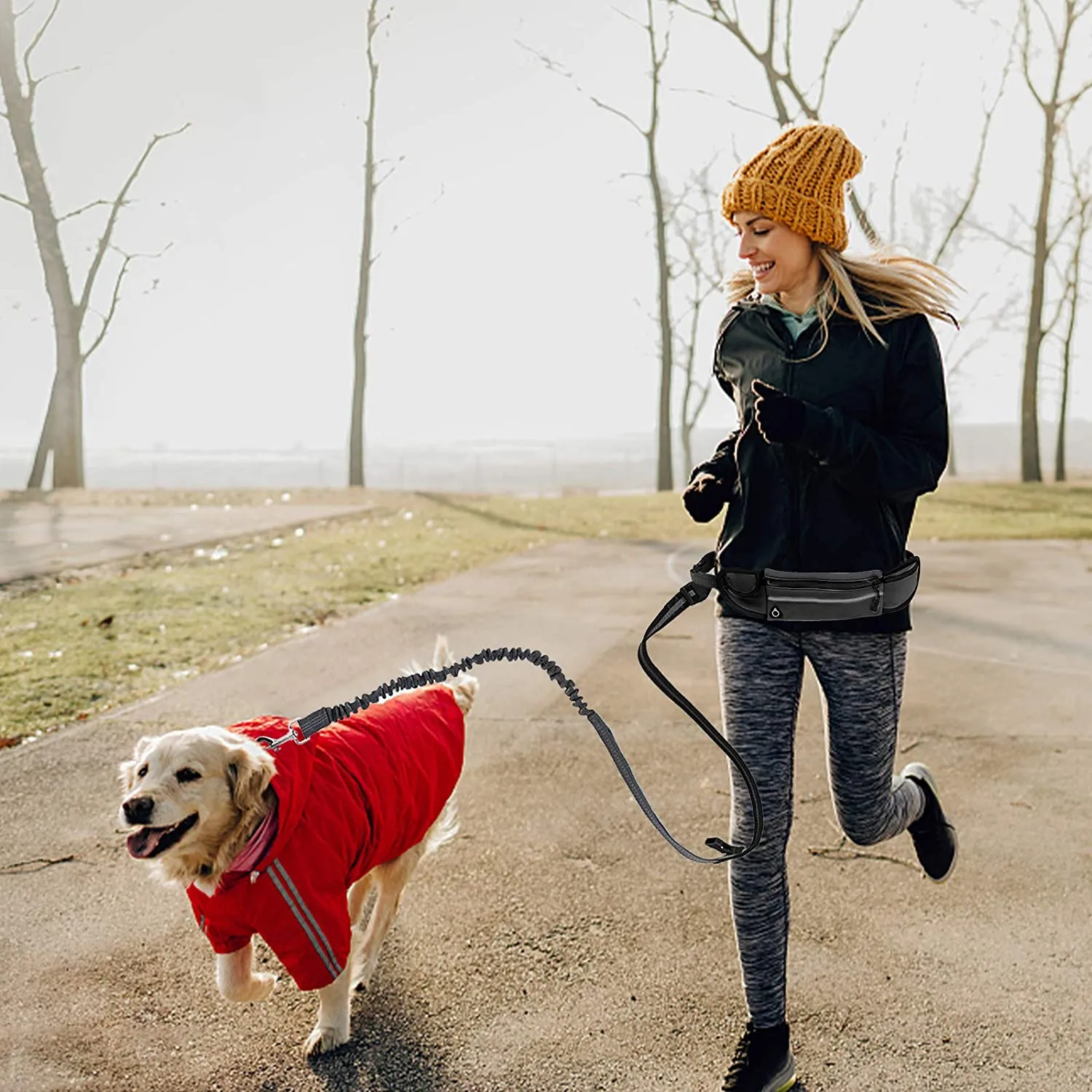 Hands Free Dog Lead Reflective Bungee Dog Lead For Running Dog Leash UK