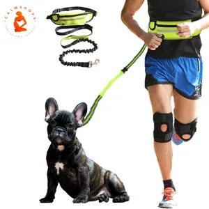 Hands Free Dog Lead Reflective Bungee Dog Lead For Running Dog Leash UK
