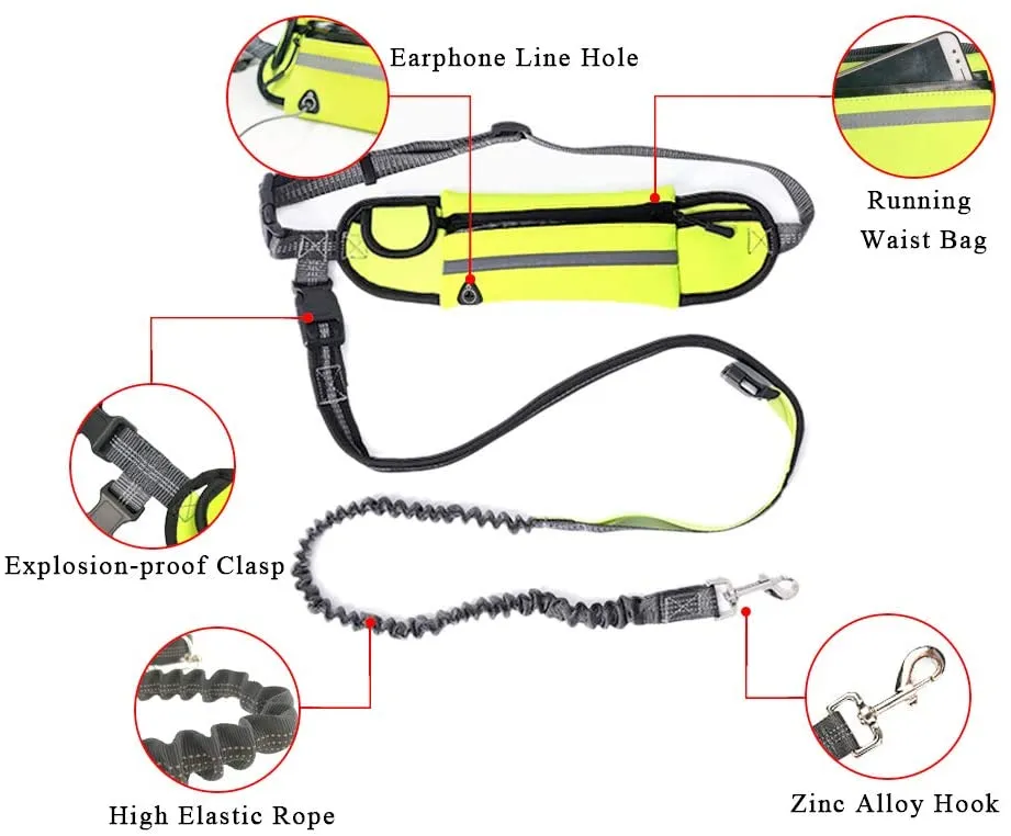 Hands Free Dog Lead Reflective Bungee Dog Lead For Running Dog Leash UK