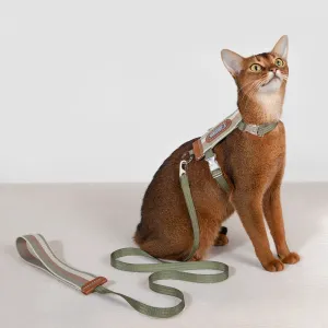 HiDream® | Rainbow Cat Harness and Leash Set