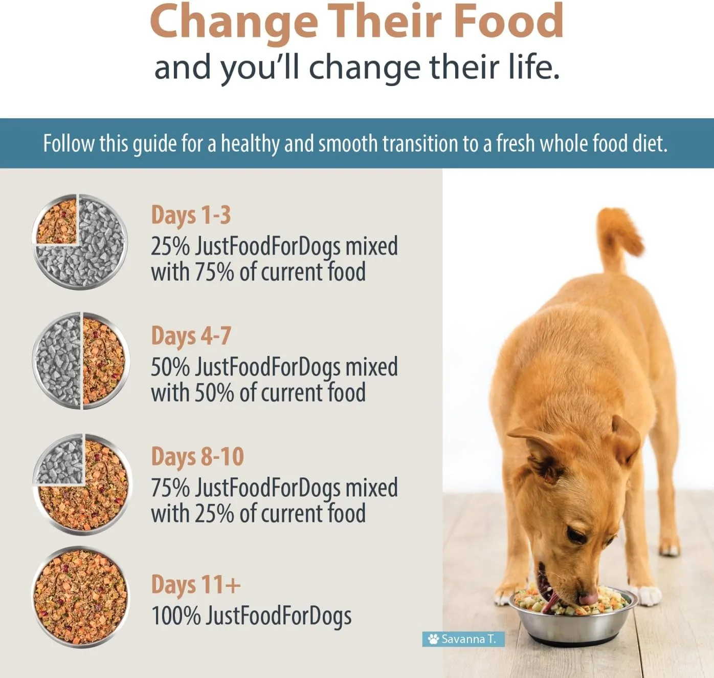 JustFoodForDogs Frozen Fresh Dog Food for Sensitive Stomachs, Complete Meal or Dog Food Topper, Balanced Remedy Human Grade Dog Food Recipe, 18 oz (Pack of 7)