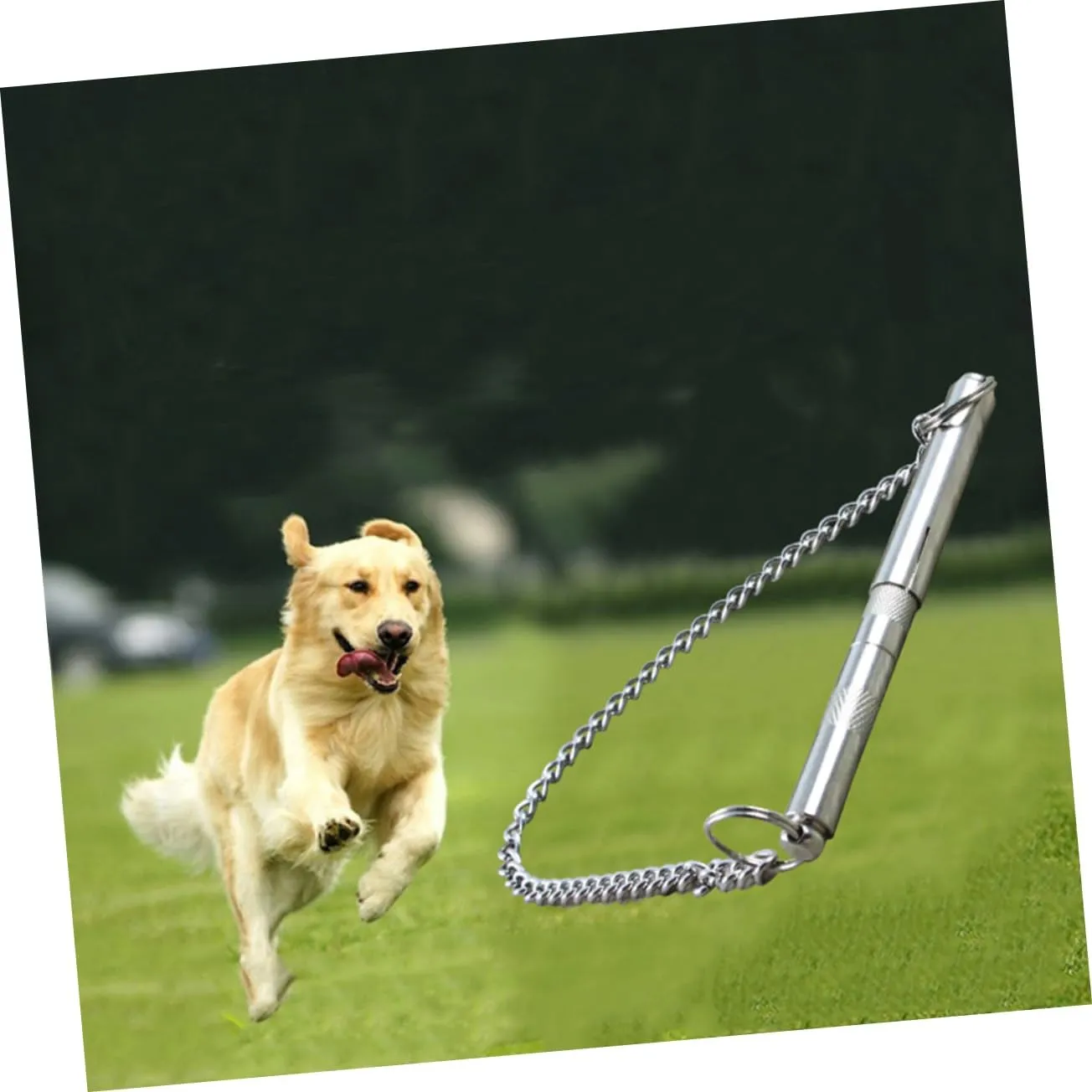 Kisangel 2pcs Stainless Steel Barking Control Device Bark Deterrent for Training