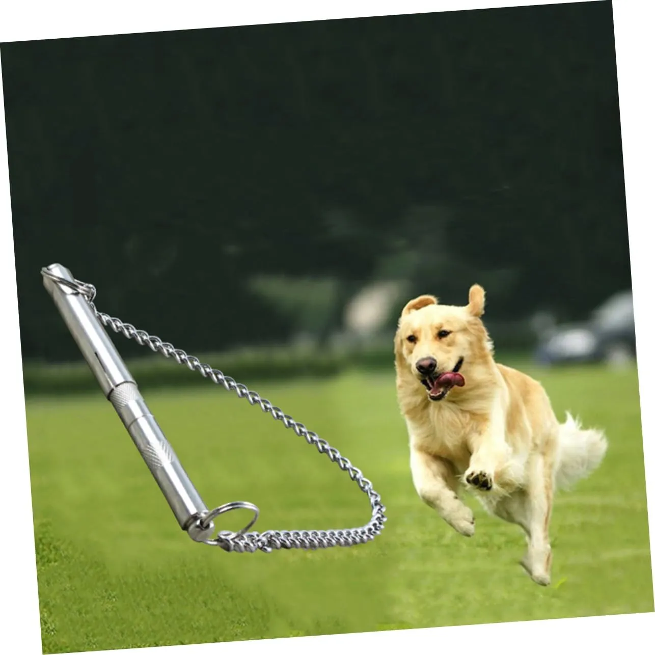 Kisangel 2pcs Stainless Steel Barking Control Device Bark Deterrent for Training