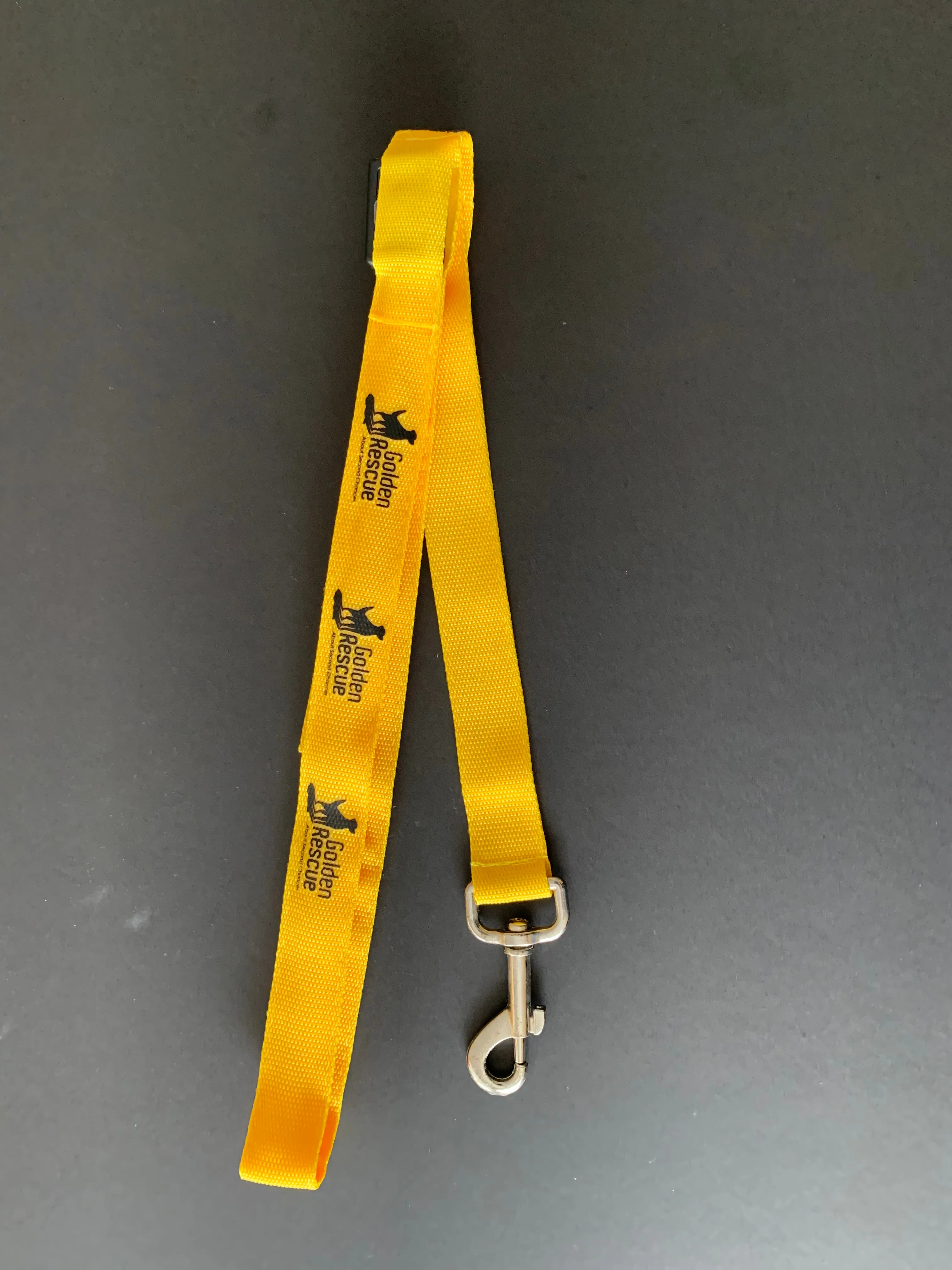 Leash & Collar