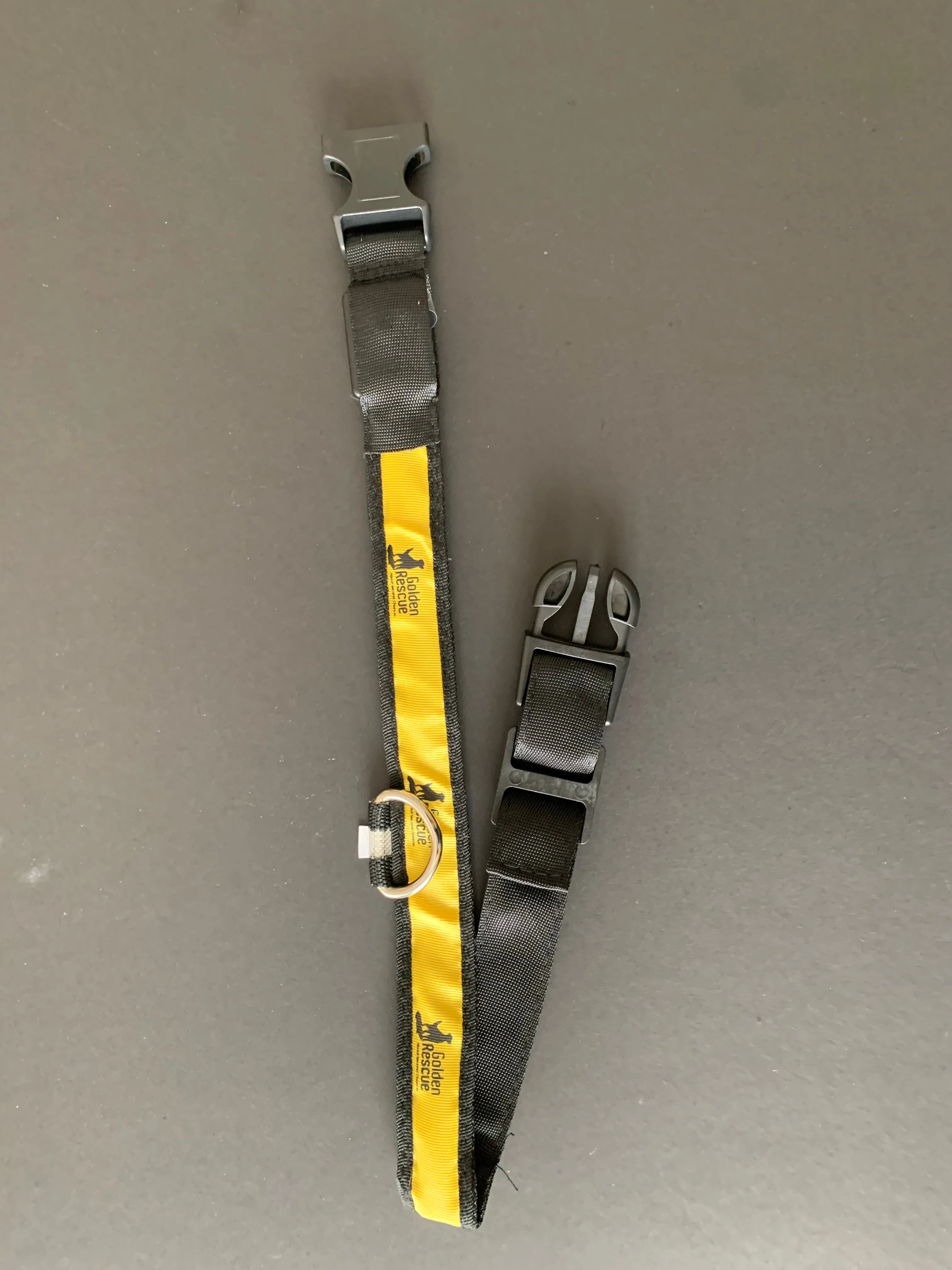 Leash & Collar