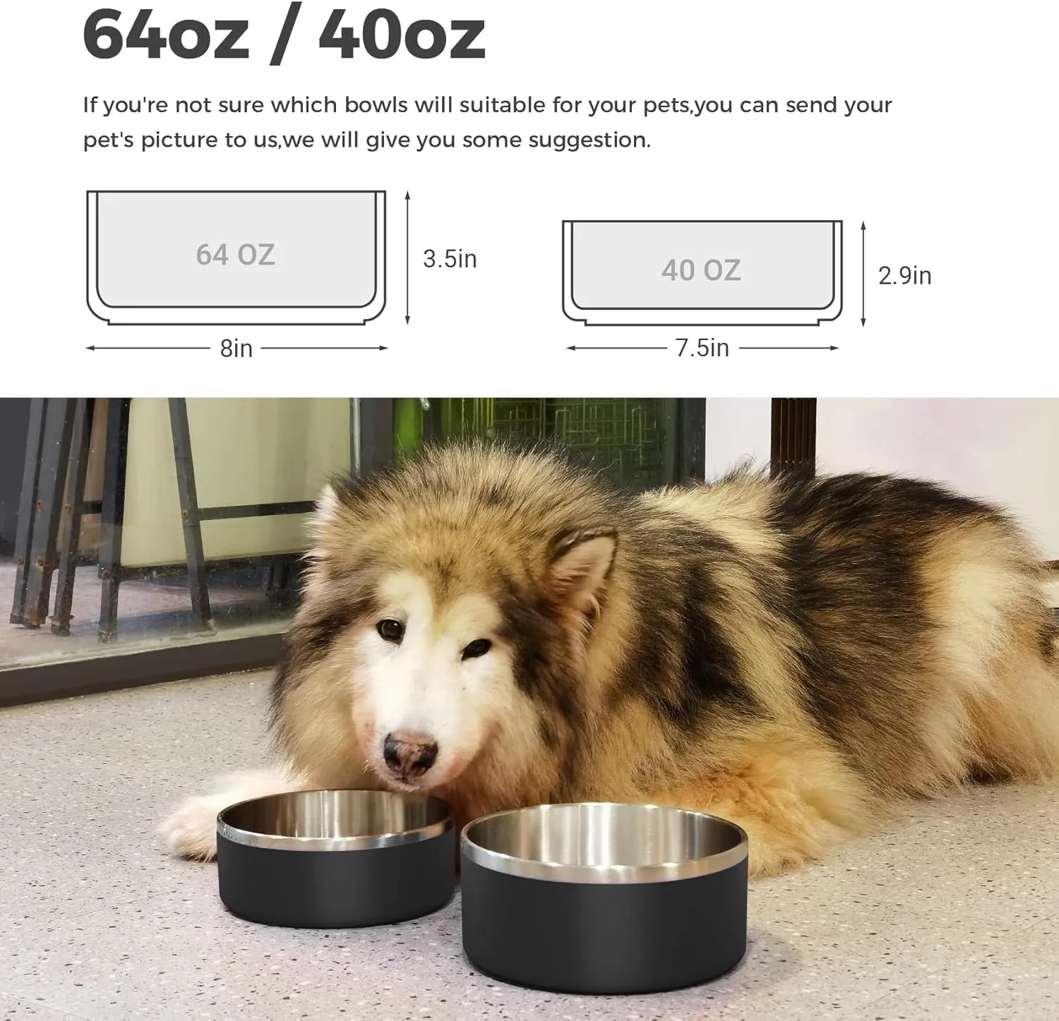 LIHONG Stainless Steel Dog Bowls for Small Medium Sized Dogs Non Slip,Insulated Dog Bowl,Pet Bowl for Food and Water,Rustproof(40oz,Black)