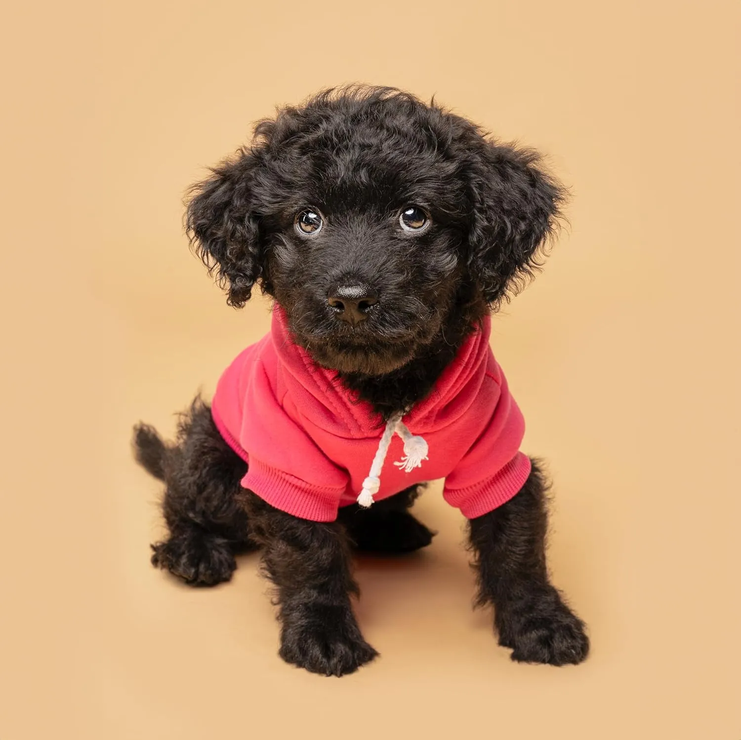 Love My Auntie, Aunt, Valentine's Day, Mother's Day Dog Hoodie Fleece Lined Pullover Sweatshirt with Leash Hole (Green, X-Small 400)