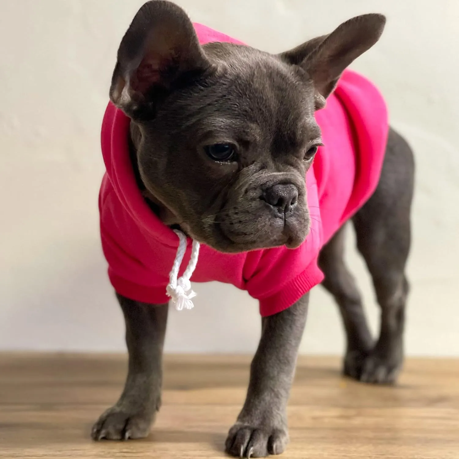 Mommy's Valentine Valentine's Day Dog Hoodie Fleece Lined Pullover Sweatshirt with Leash Hole (Red, 6X-Large 198)