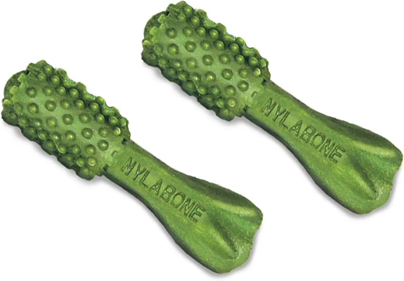 Nylabone Nutri Dent Dog Dental Chews, Natural Teeth Cleaning Treats & Breath Freshener for Dogs, Fresh Mint Flavor, Mini (78 Count)